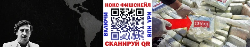 mega ТОР  купить закладку  Змеиногорск  COCAIN 98% 