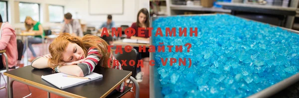 прущие грибы Гусь-Хрустальный