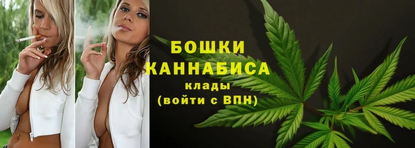 прущие грибы Гусь-Хрустальный