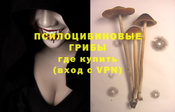 прущие грибы Гусь-Хрустальный