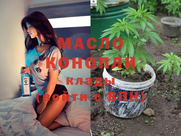 прущие грибы Гусь-Хрустальный