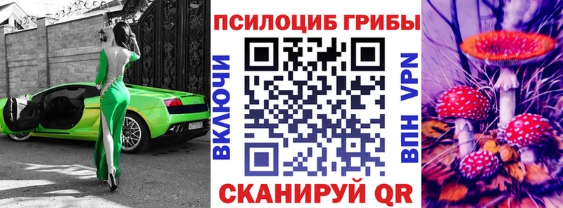 купить наркоту  Змеиногорск  Галлюциногенные грибы Cubensis 